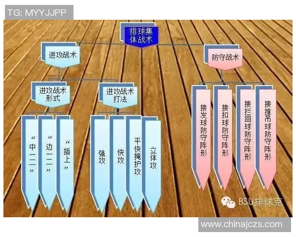 南京排球队中路突破战术解析与实战应用探讨